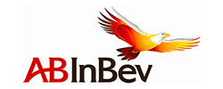 ANHEUSER-BUSCH INBEV SA/NV