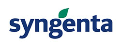 SYNGENTA AG