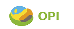 ORGANIZACIÓN DE PROYECTOS DE INFRAESTRUCTURA, S.A.P.I. DE C.V.