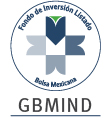 GBM INDEXADO MÉXICO, S.A. DE C.V., F.I.R.V.