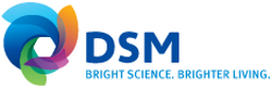 KONINKLIJKE DSM N.V.