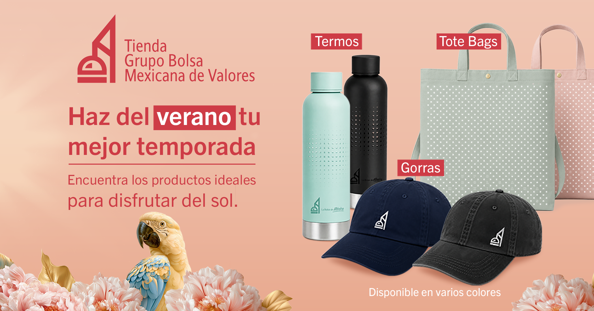 TIENDA BMV