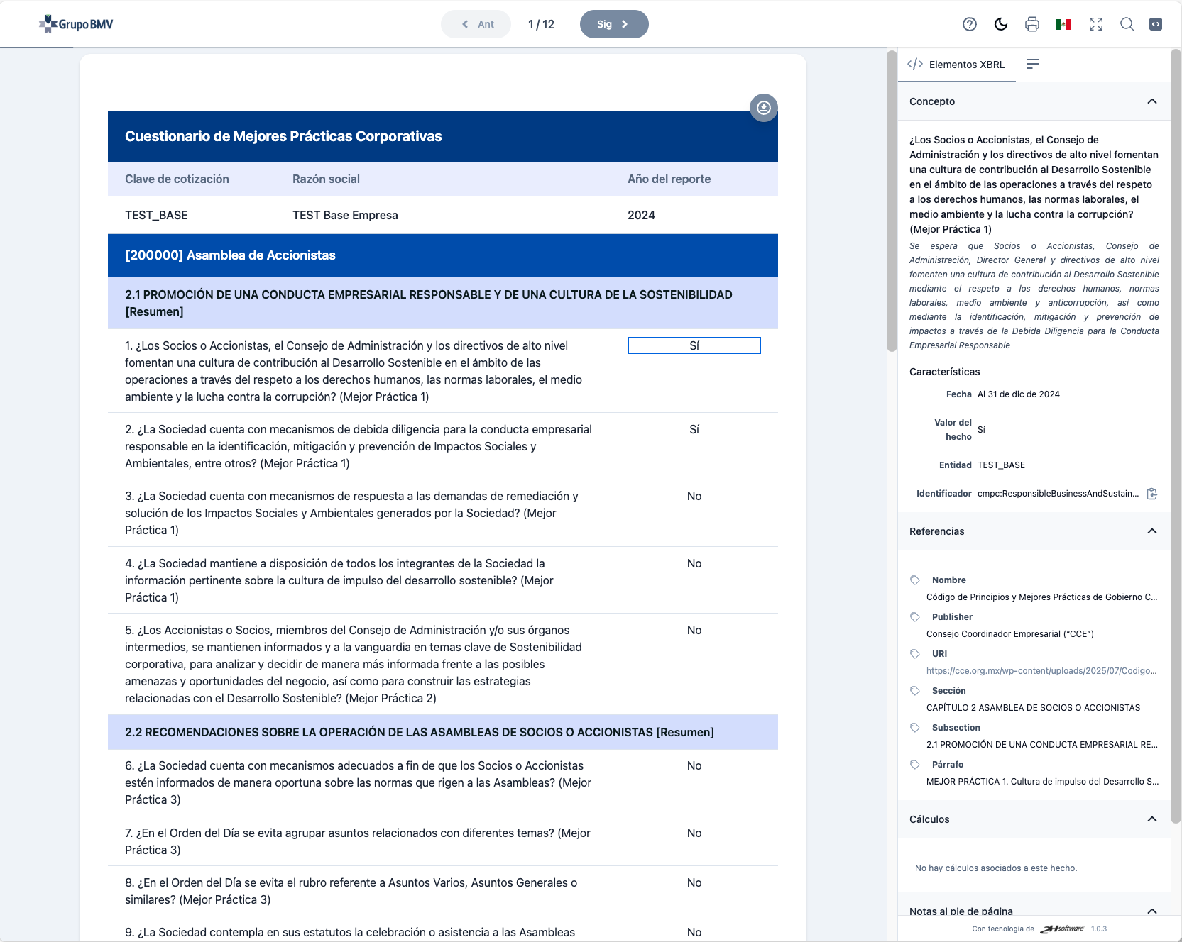 Panel de detalles XBRL