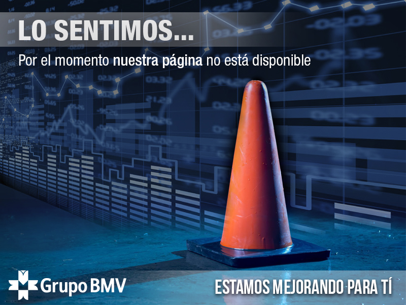 Sitio Grupo BMV no disponible